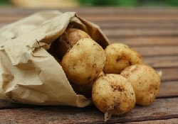 Ученые снова призывают относиться с осторожностью к блюдам из картофеля