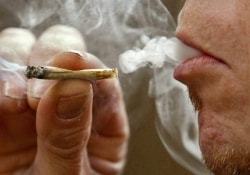 Доказано пагубное влияние дыма марихуаны на ткани десен
