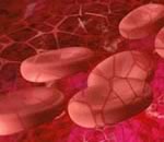 Столовые клетки вылечат анемию