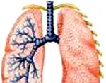 Найден новый метод лечения астмы