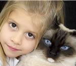 Ранний контакт детей с кошками снижает риск развития аллергии и бронхиальной астмы