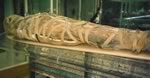 Египетские мумии несут признаки малярии