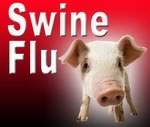 Случаев H1N1 больше, чем официально сообщают