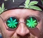 4% взрослого населения земли употребляет марихуану