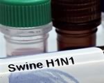 Итоги заседания оперативного штаба по вопросам гриппа A/H1N1 Калифорния