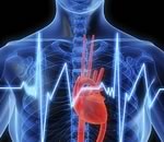 Ученые имплантировали новый кардиостимулятор с дистанционным мониторингом