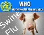 Фармацевтические компании раздули угрозу свиного гриппа
