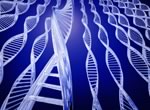 Генные мутации могут вызывать преждевременные роды