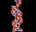 Ученые стали ближе к секрету здоровья ДНК