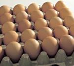 Хранение яиц: советы специалиста