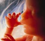 Будущим мамам на заметку: среди «детей из пробирки» чаще рождаются мальчики