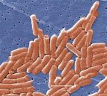 Чужие среди нас – обнаружены бактерии, питающиеся мышьяком