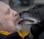 Американский пес получит специальную награду за спасение жизни своего хозяина
