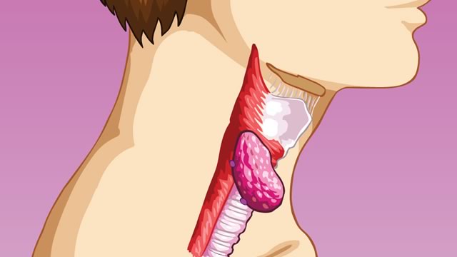 Как лечить щитовидную железу?