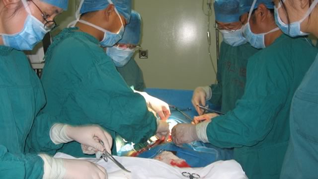 Трансплантация (пересадка) почки